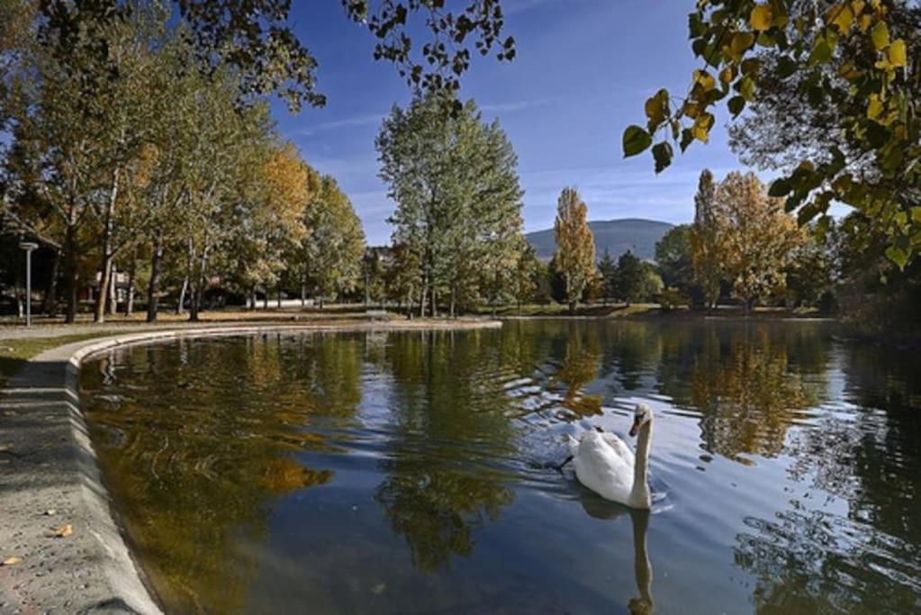 Ideal Parejas - Tranquilidad Y Naturaleza - Vistas Al Lago Osséja エクステリア 写真