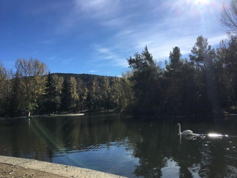 Ideal Parejas - Tranquilidad Y Naturaleza - Vistas Al Lago Osséja エクステリア 写真